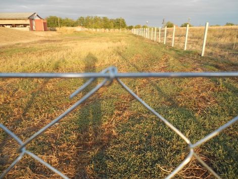 Kerítés építés komplett 1000 Ft/ méter áron. Betonoszlop, drótfonat, vadháló, fémoszlop, tüskéshuzal