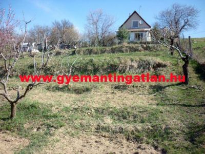 Szekszárdon, 60 nm-es, 2+1 félszobás tanya eladó!