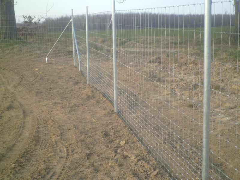 Vadháló,drótfonat,kerités