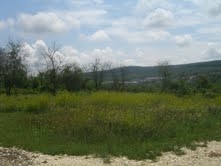 Eladó gyümölcsös telek Nagykovácsiban