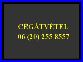 Üzletrész átvétel, üzletrész átruházás. Cégátvétel tartozással