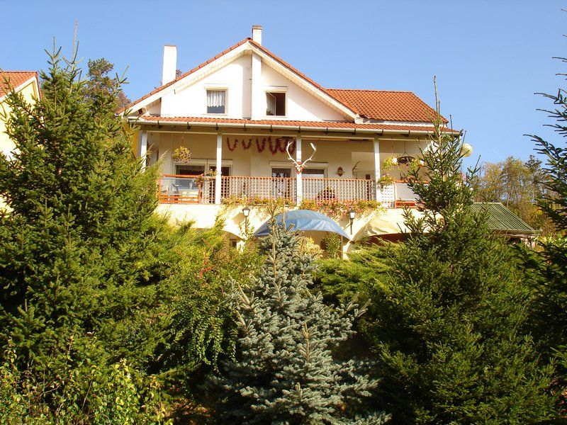 KÜLÖNLEGES AJÁNLAT csak korlátozott ideig!