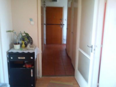 Lakótársat keresünk