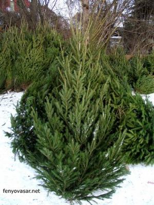 Karácsonyfa, fenyőfa vásár