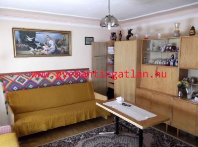 GAZDÁLKODÁSRA IS ALKALMAS CSALÁDI HÁZ ZOMBÁN!