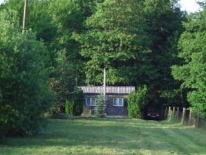 Sürgősen eladó ősfás telek, téliesített, komfortosított faházzal