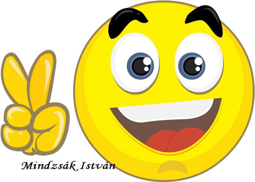 Fizetés kiegészítés, mellékállás, otthoni munka