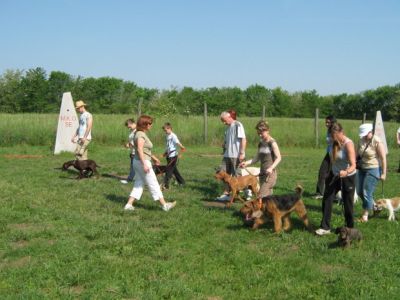  Kutyaiskola bérlés