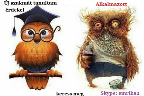 Másodállás az interneten