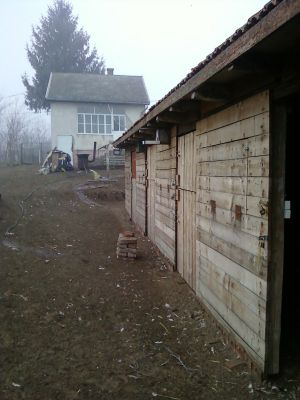 Téglaépitésű kis tanya eladó tiszta levegőjű helyen