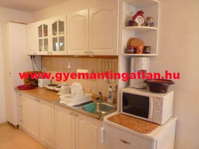 Harkányban 38 nm-es, 1 szobás lakás eladó!