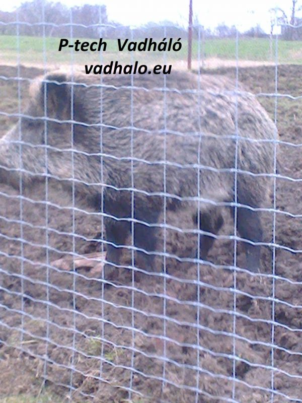 Vadháló,drótfonat,kerítés építés,akác oszlop,vadriasztó huzal