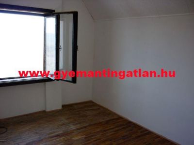 Szekszárdon, 60 nm-es, 2+1 félszobás tanya eladó!