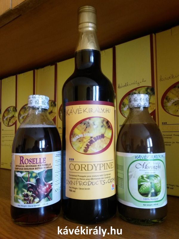 A tanárok ezt a kávés MLM üzletet választják!