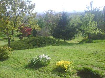 pécs szabolcs faiu szürte ut 15