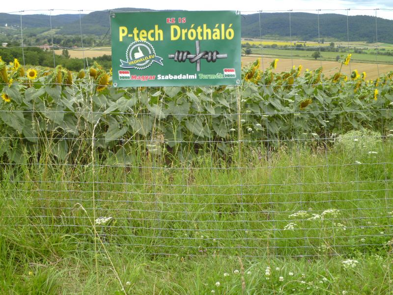 Vadháló,drótfonat,kerités