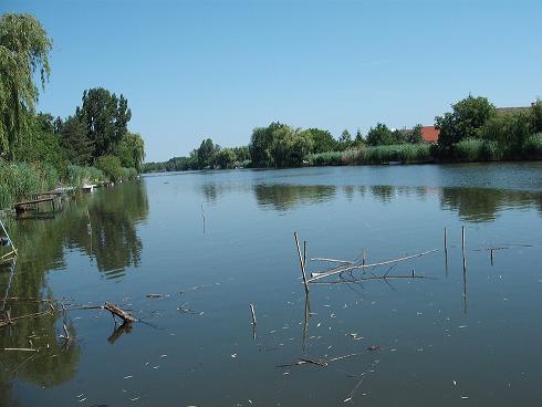 Közvetlen körösparti nyaraló kiadó