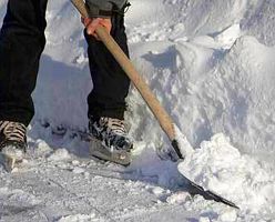 Ingyenes szolgáltatás