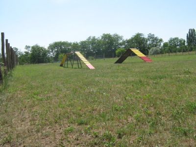 Agility pálya bérlés