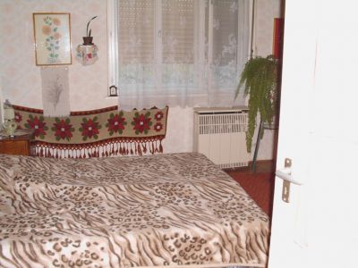 Családi ház sürgősen eladó