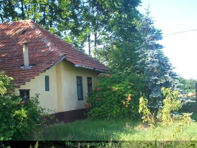 Tanya Vízparttal Eladó