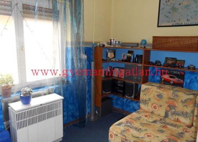 Szekszárdi északi kertvárosi részén családi ház