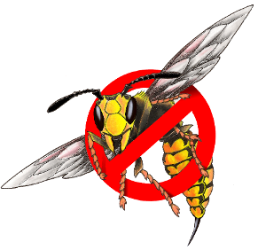 Balaton darázsirtás http://www.balaton.darazsirtas.hu/