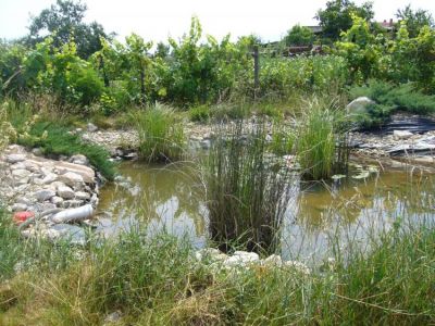 Árzuhanás! Az eddig 28M értékű dupla cs.ház most csak 19900000.- Ft!