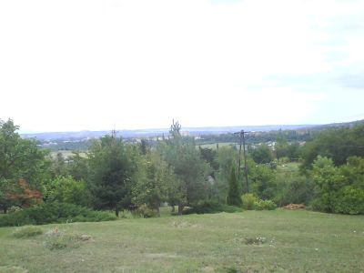 pécs szabolcs faiu szürte ut 15