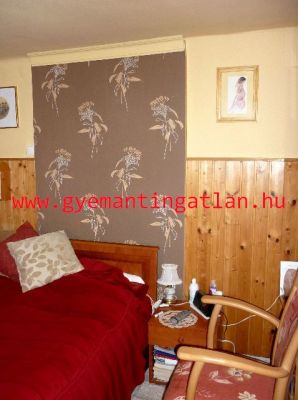 Eladó ingatlan Szekszárd központhoz közeli családi ház 3200411