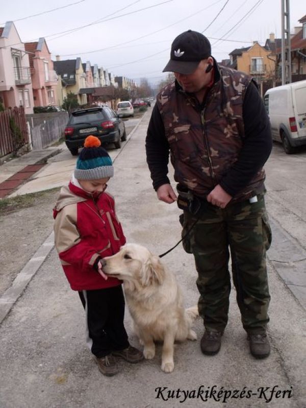 Kutyakiképzés, oktatás, szocializálás, engedelmességre nevelés Budapesten