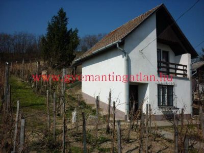 Szekszárdon, 46 nm-es, 1 szobás tanya eladó!